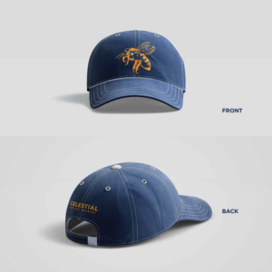 Navy Embroidered Bee Dad Hat